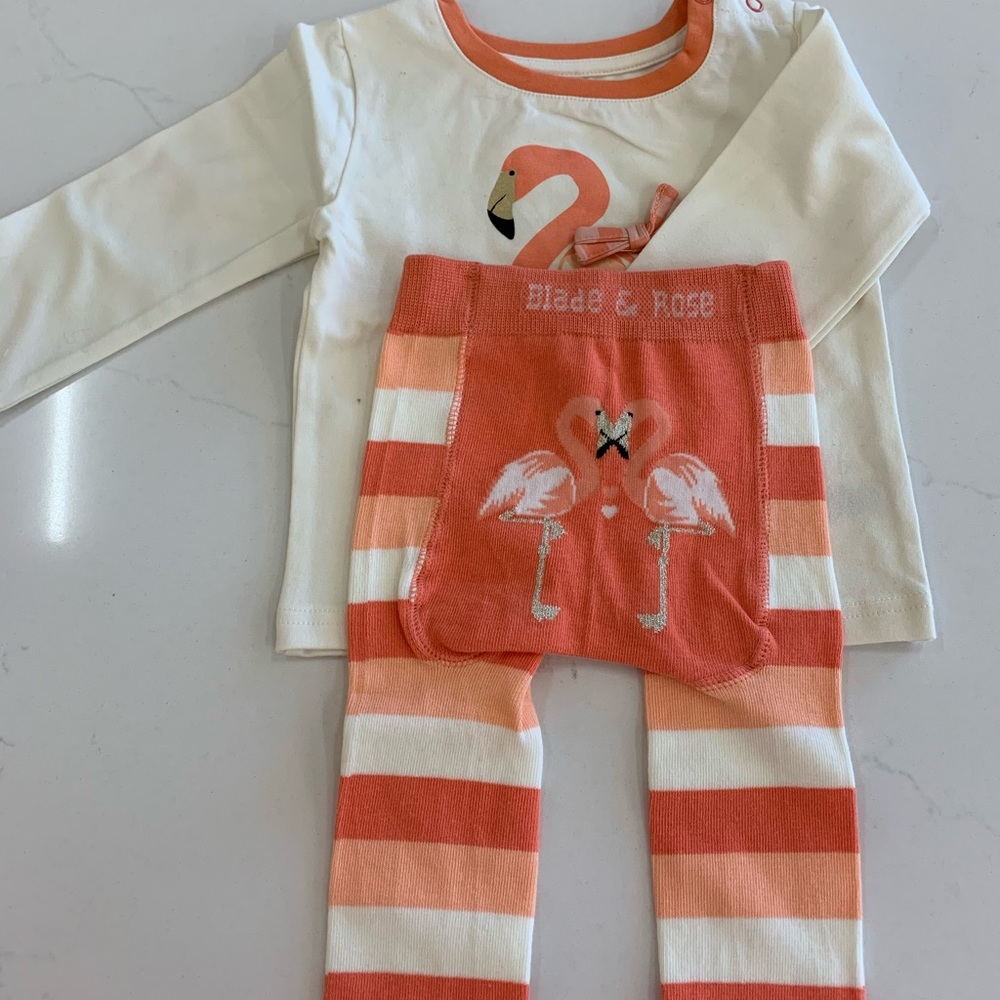 Blade And Rose Flamingo Leggings and Top